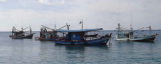 Thai fishing boats